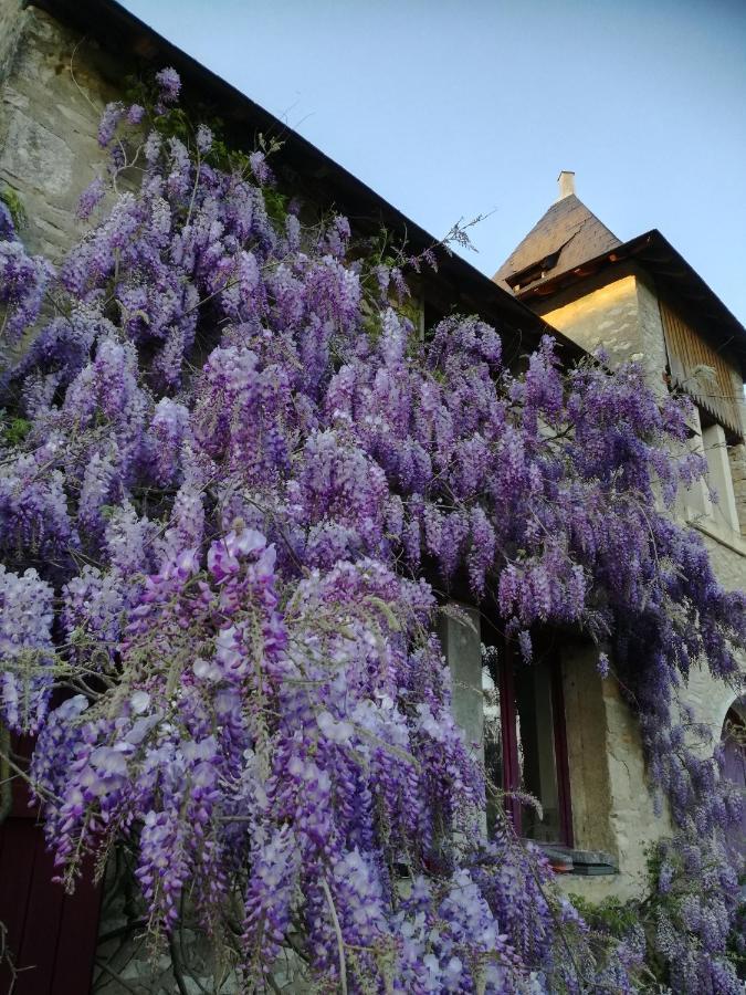 Bed & Breakfast Chateau St.gaultier *