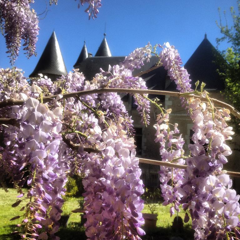 Bed & Breakfast Chateau St.gaultier *